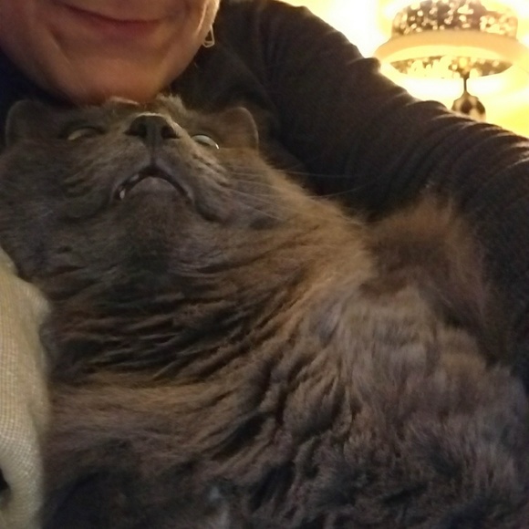 Meet your Posher, Allegra - Picture 4 of 4